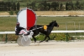 2015_Race 2 - 06